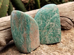 Polished Amazonite Standing Free Forms x 12 from Madagascar - Toprock Gemstones and Minerals 