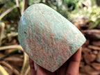 Polished Amazonite Standing Free Forms x 12 from Madagascar - Toprock Gemstones and Minerals 
