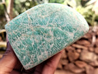 Polished Amazonite Standing Free Forms x 12 from Madagascar - Toprock Gemstones and Minerals 
