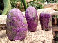 Polished Stichtite Standing Free Forms x 6 From Barberton, South Africa - Toprock Gemstones and Minerals 