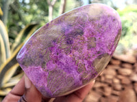 Polished Stichtite Standing Free Forms x 6 From Barberton, South Africa - Toprock Gemstones and Minerals 