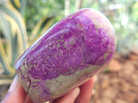 Polished Stichtite Standing Free Forms x 6 From Barberton, South Africa - Toprock Gemstones and Minerals 