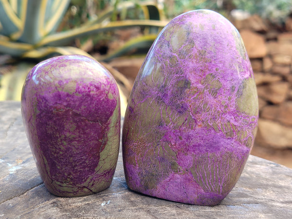 Polished Stichtite Standing Free Forms x 6 From Barberton, South Africa - Toprock Gemstones and Minerals 