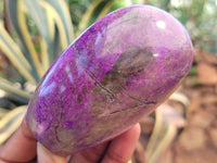 Polished Stichtite Standing Free Forms x 6 From Barberton, South Africa - Toprock Gemstones and Minerals 
