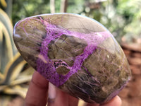 Polished Stichtite Standing Free Forms x 6 From Barberton, South Africa - Toprock Gemstones and Minerals 