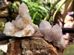 Natural Spirit Quartz Crystals x 95 From Boekenhouthoek, South Africa - Toprock Gemstones and Minerals 