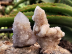 Natural Spirit Quartz Crystals x 95 From Boekenhouthoek, South Africa - Toprock Gemstones and Minerals 