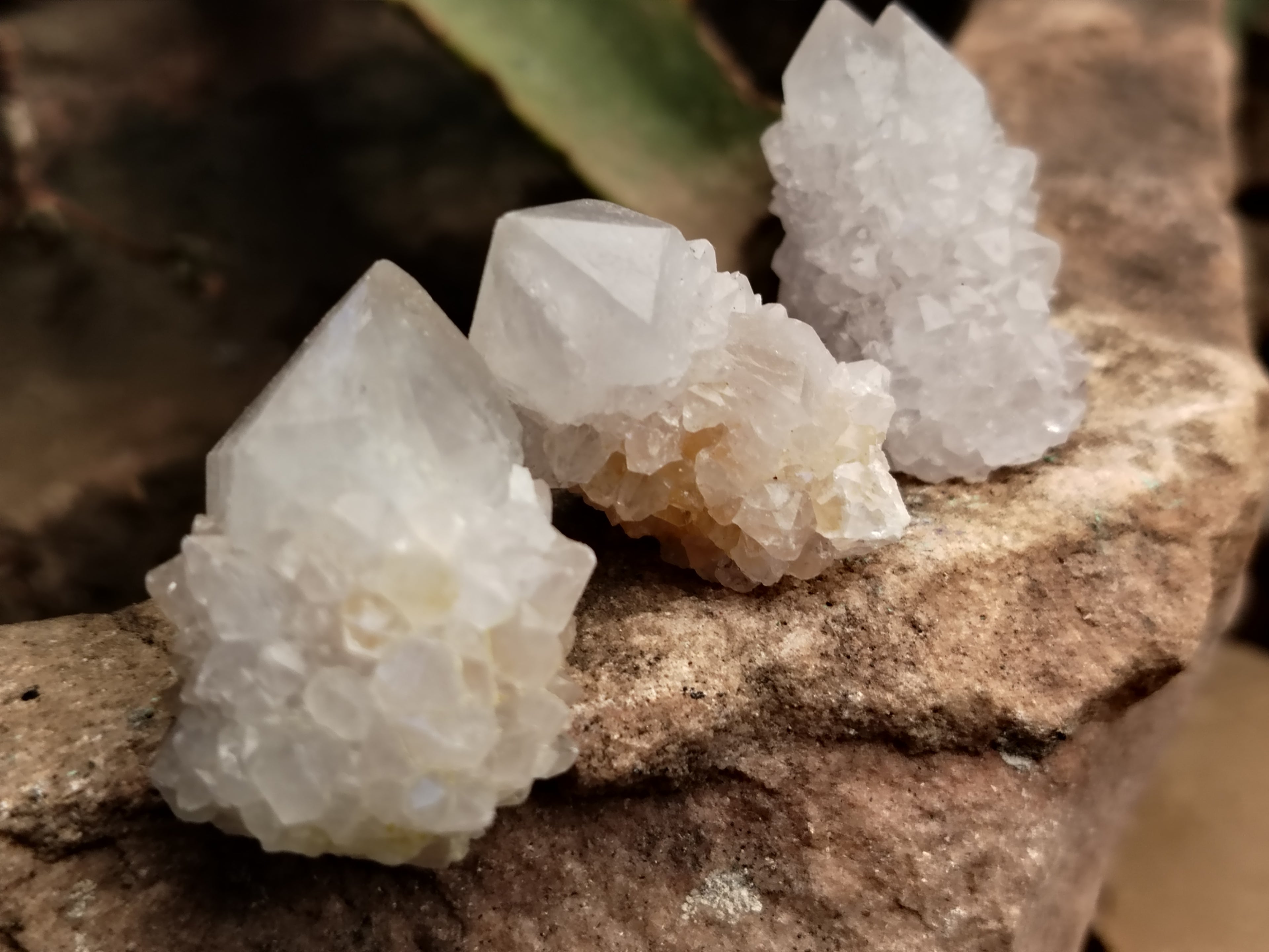 Natural Spirit Quartz Crystals x 95 From Boekenhouthoek, South Africa - Toprock Gemstones and Minerals 