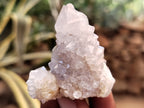 Natural Spirit Quartz Crystals x 95 From Boekenhouthoek, South Africa - Toprock Gemstones and Minerals 