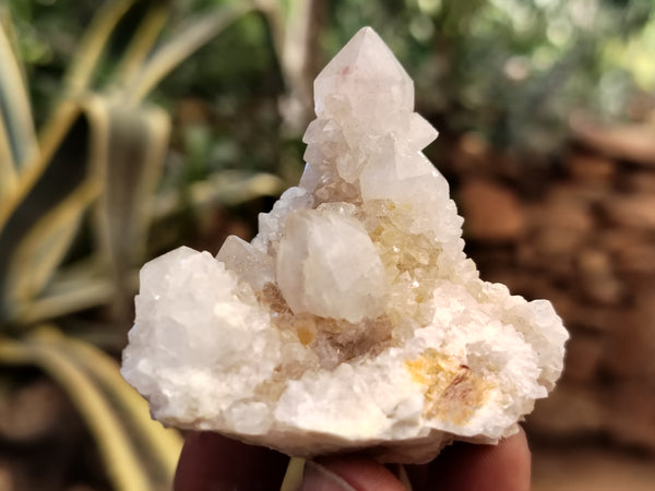Natural Spirit Quartz Crystals x 95 From Boekenhouthoek, South Africa - Toprock Gemstones and Minerals 