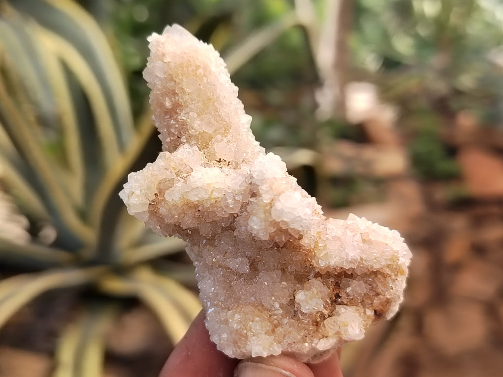 Natural Spirit Quartz Crystals x 95 From Boekenhouthoek, South Africa - Toprock Gemstones and Minerals 