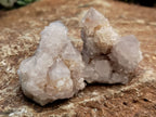 Natural Spirit Quartz Crystals x 95 From Boekenhouthoek, South Africa - Toprock Gemstones and Minerals 
