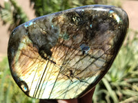 Polished Labradorite Standing Free Forms x 2 From Tulear, Madagascar - Toprock Gemstones and Minerals 