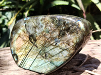 Polished Labradorite Standing Free Forms x 2 From Tulear, Madagascar - Toprock Gemstones and Minerals 