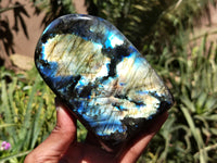 Polished Labradorite Standing Free Forms x 2 From Tulear, Madagascar - Toprock Gemstones and Minerals 