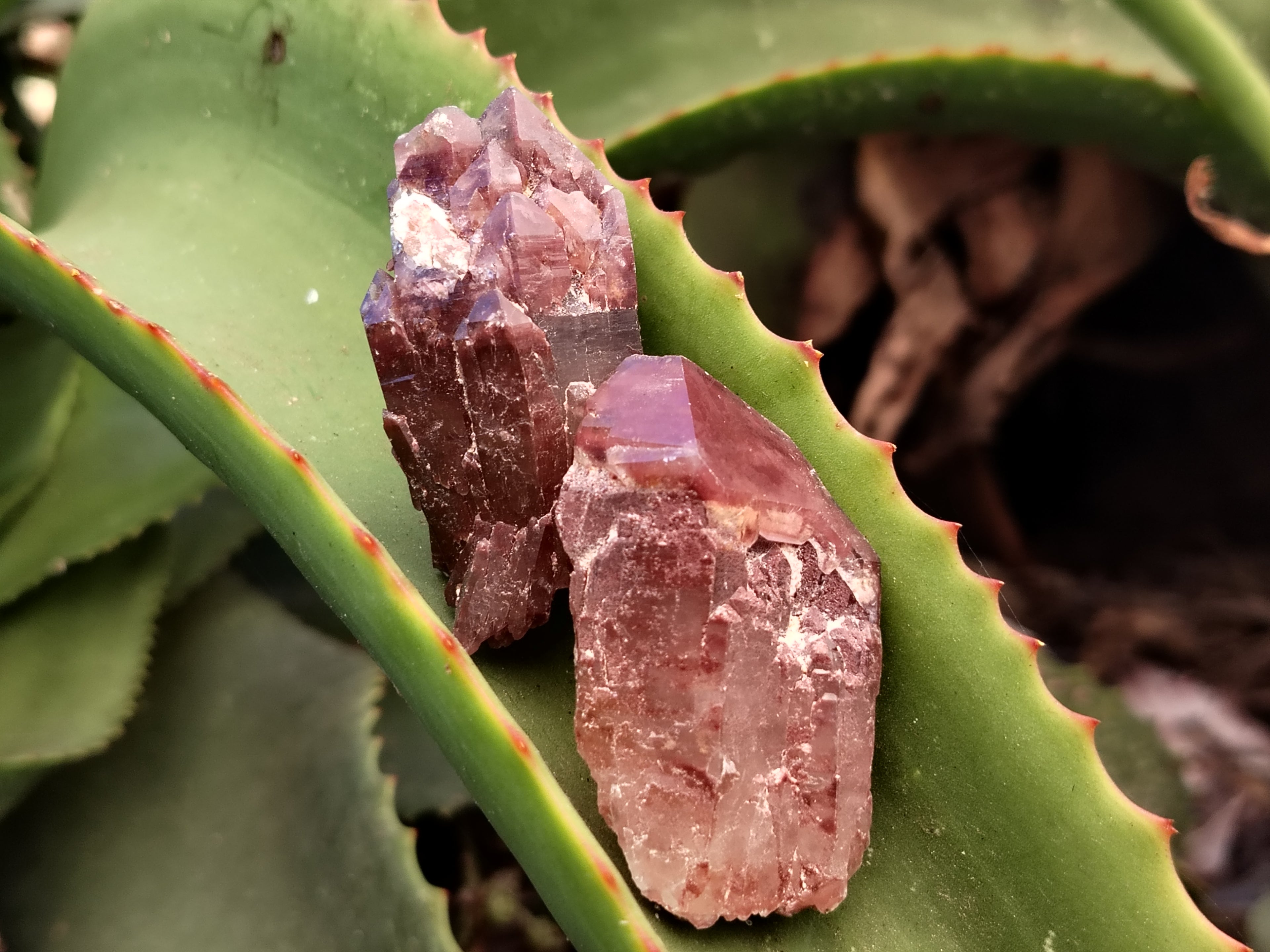 Natural Red Hematoid Quartz Crystals x 35 From Karoi, Zimbabwe - Toprock Gemstones and Minerals 