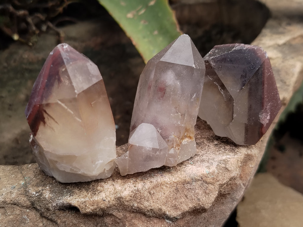 Natural Red Hematoid Quartz Crystals x 35 From Karoi, Zimbabwe - Toprock Gemstones and Minerals 
