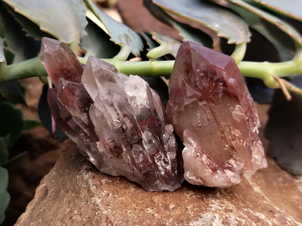 Natural Red Hematoid Quartz Crystals x 35 From Karoi, Zimbabwe - Toprock Gemstones and Minerals 