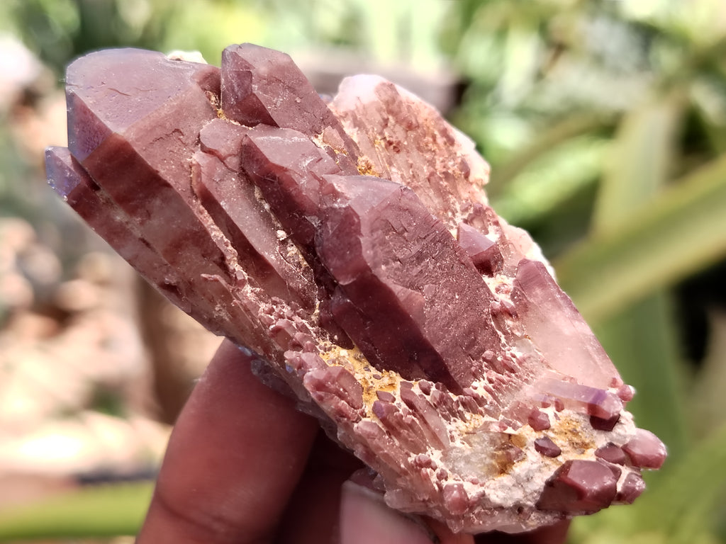 Natural Red Hematoid Quartz Crystals x 35 From Karoi, Zimbabwe - Toprock Gemstones and Minerals 