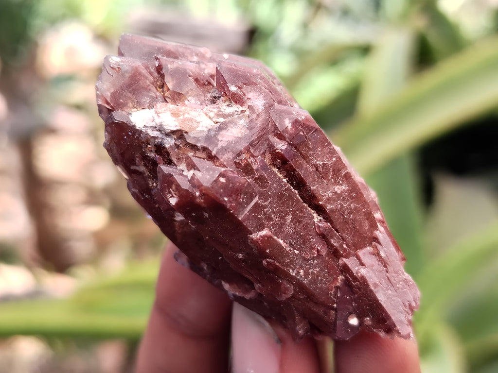 Natural Red Hematoid Quartz Crystals x 35 From Karoi, Zimbabwe - Toprock Gemstones and Minerals 