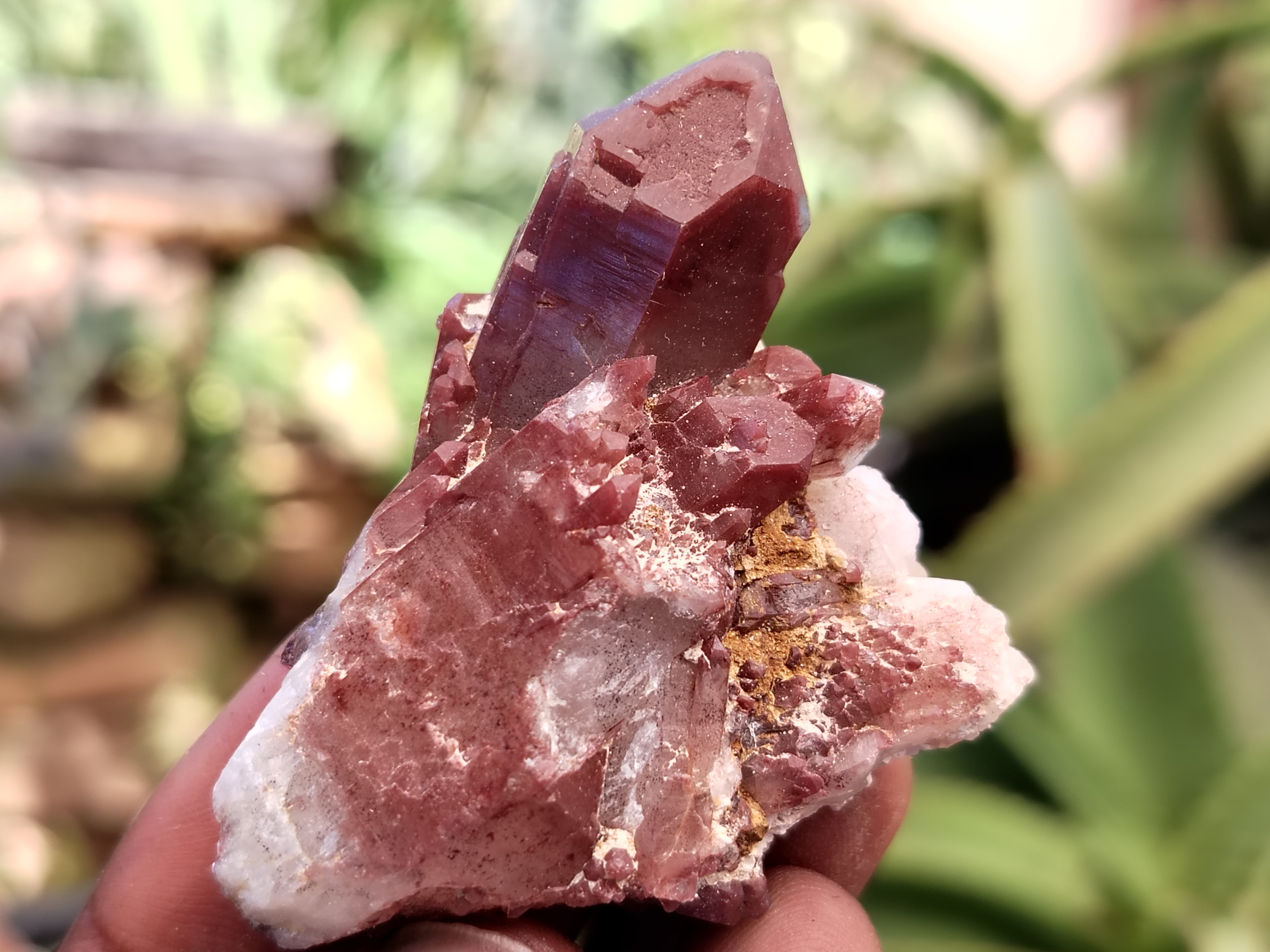 Natural Red Hematoid Quartz Crystals x 35 From Karoi, Zimbabwe - Toprock Gemstones and Minerals 
