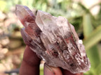 Natural Red Hematoid Quartz Crystals x 35 From Karoi, Zimbabwe - Toprock Gemstones and Minerals 