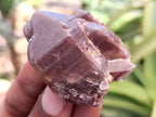 Natural Red Hematoid Quartz Crystals x 35 From Karoi, Zimbabwe - Toprock Gemstones and Minerals 