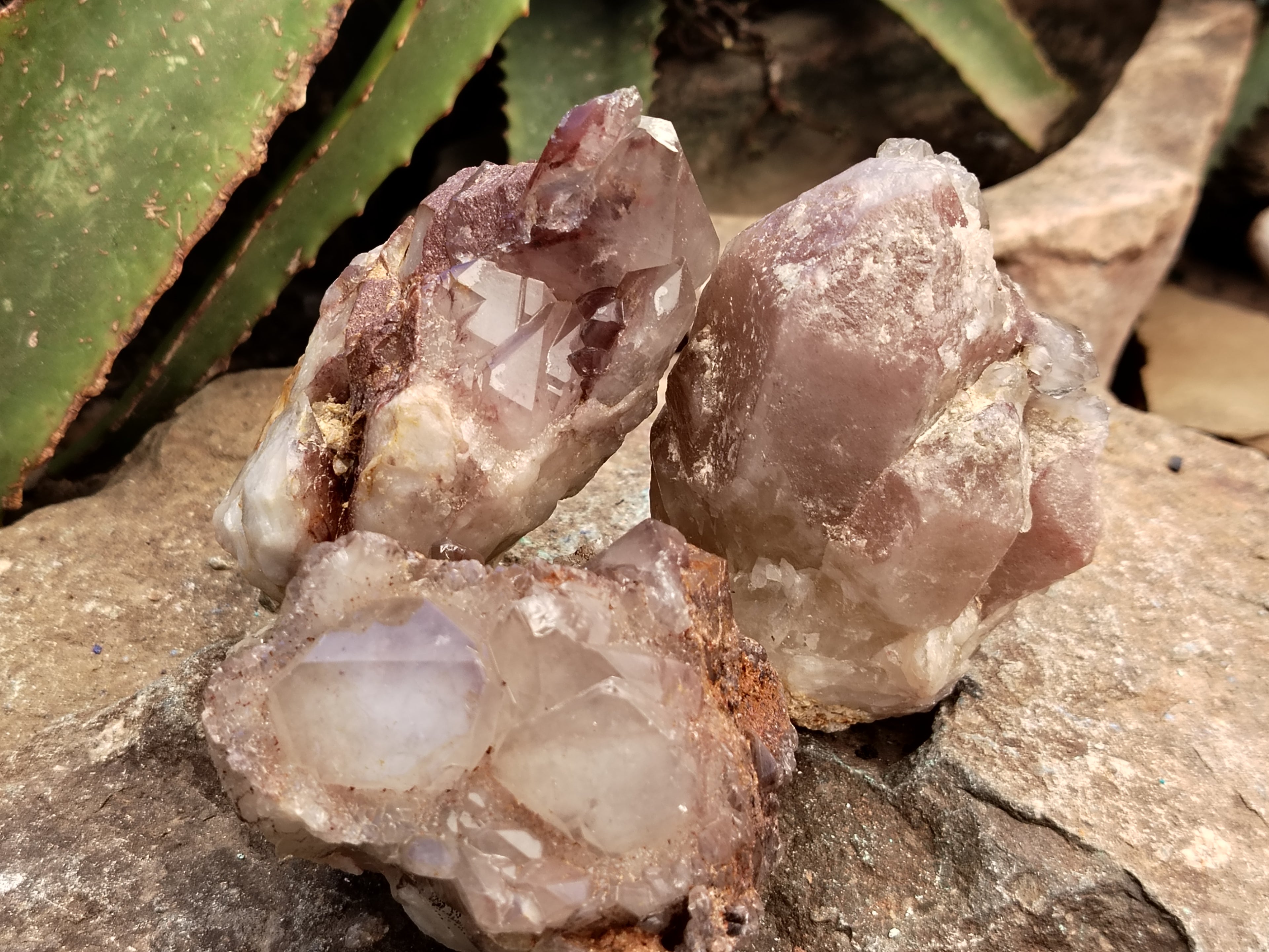 Natural Red Hematoid Quartz Clusters x 6 From Karoi, Zimbabwe - Toprock Gemstones and Minerals 