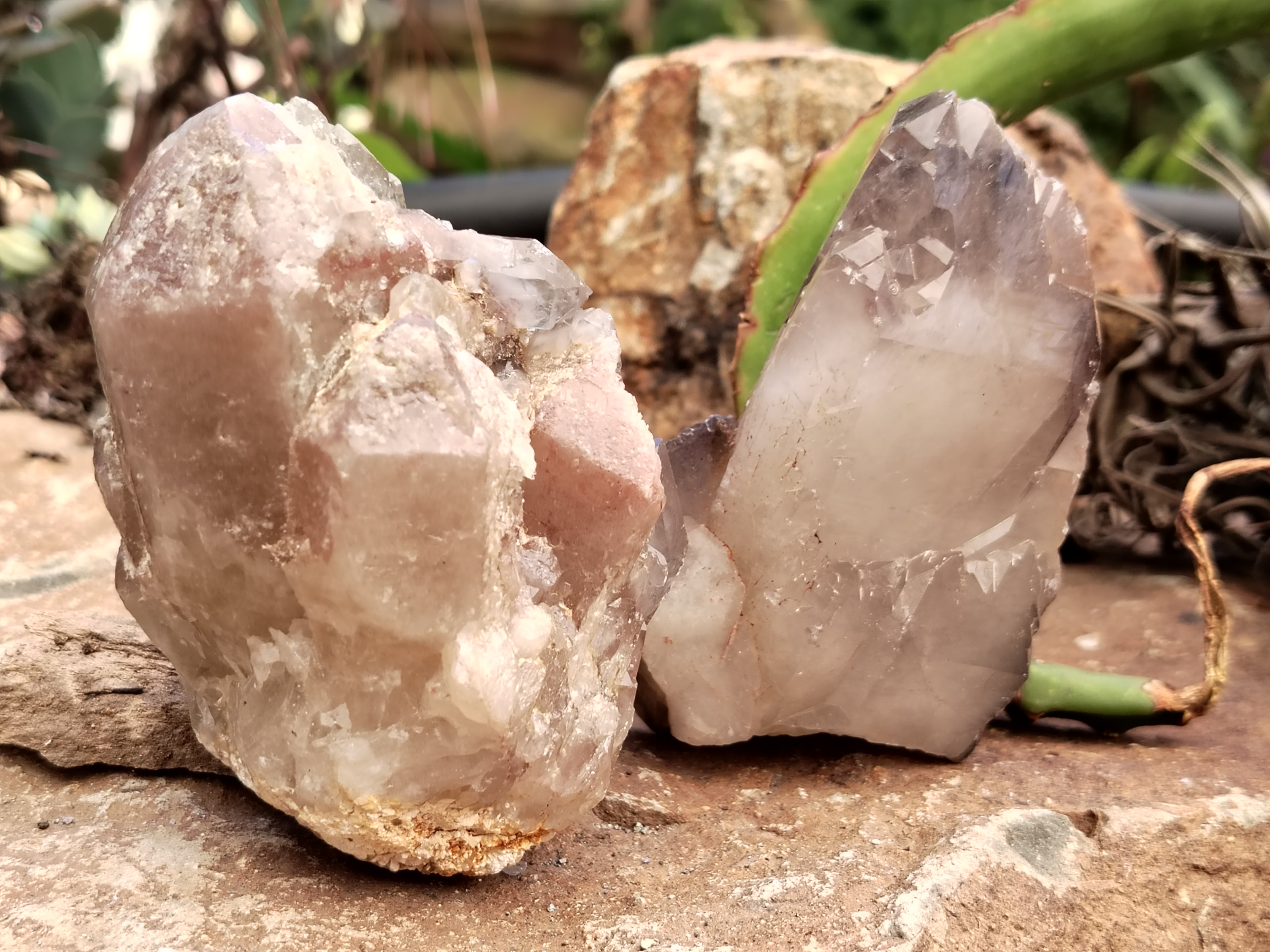 Natural Red Hematoid Quartz Clusters x 6 From Karoi, Zimbabwe - Toprock Gemstones and Minerals 