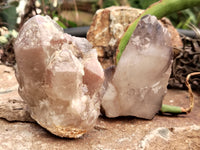Natural Red Hematoid Quartz Clusters x 6 From Karoi, Zimbabwe - Toprock Gemstones and Minerals 