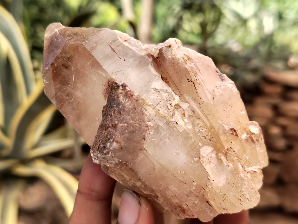 Natural Red Hematoid Quartz Clusters x 6 From Karoi, Zimbabwe - Toprock Gemstones and Minerals 