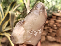 Natural Red Hematoid Quartz Clusters x 6 From Karoi, Zimbabwe - Toprock Gemstones and Minerals 