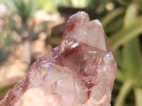 Natural Red Hematoid Quartz Clusters x 6 From Karoi, Zimbabwe - Toprock Gemstones and Minerals 