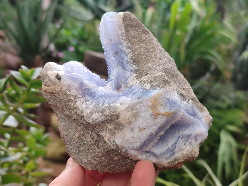 Natural Blue Lace Agate Geode Specimens x 2 From Nsanje, Malawi - Toprock Gemstones and Minerals 