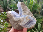 Natural Blue Lace Agate Geode Specimens x 2 From Nsanje, Malawi - Toprock Gemstones and Minerals 