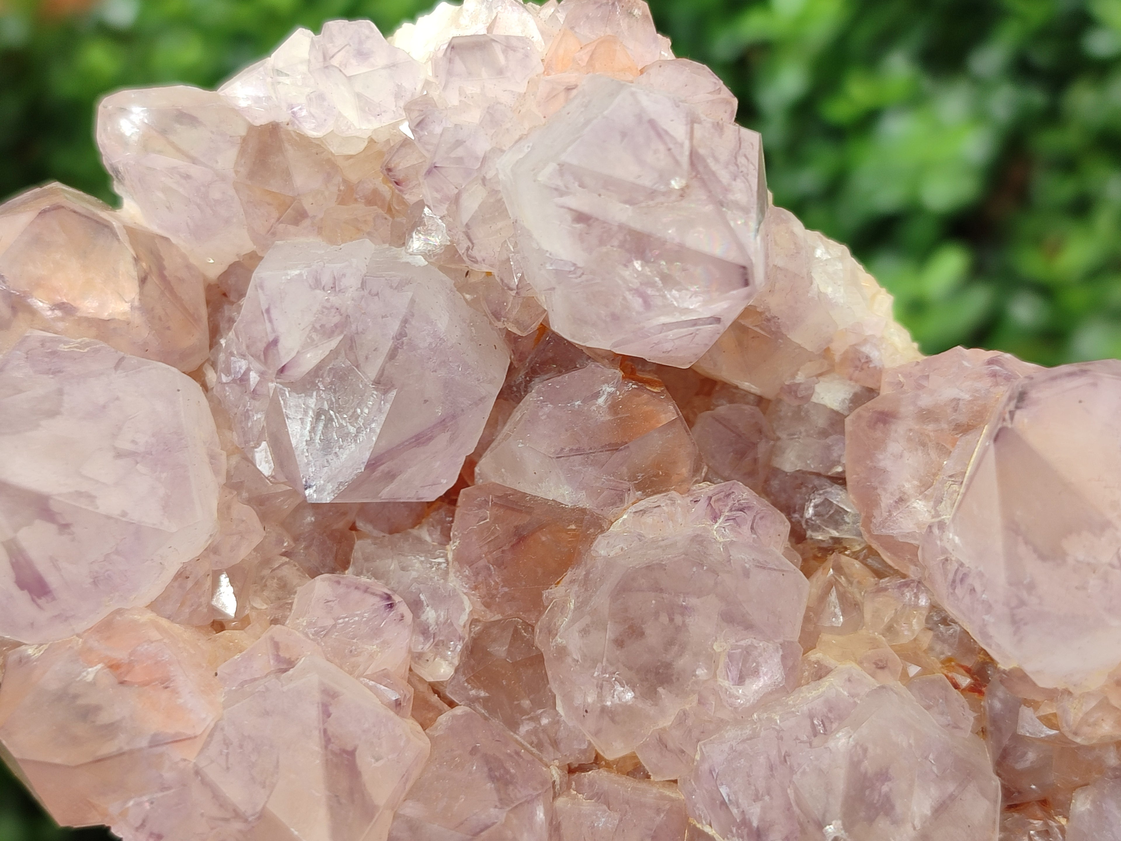 Natural Amethyst Spirit Quartz Clusters x 2 From Boekenhouthoek, South Africa - Toprock Gemstones and Minerals 