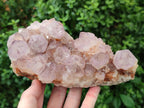 Natural Amethyst Spirit Quartz Clusters x 2 From Boekenhouthoek, South Africa - Toprock Gemstones and Minerals 
