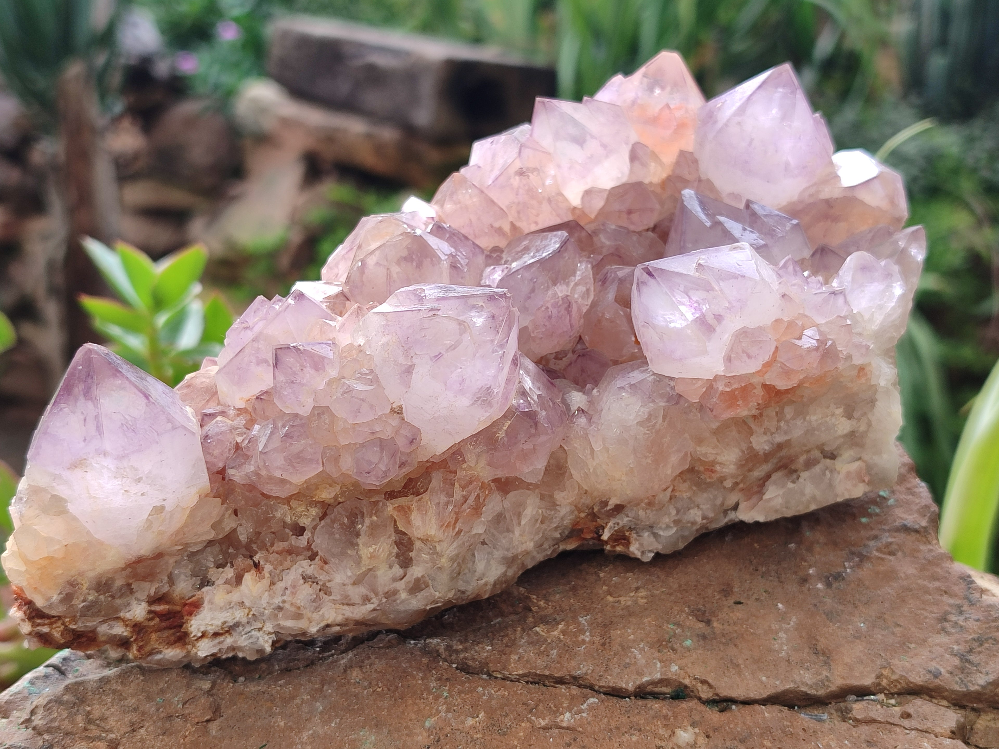 Natural Amethyst Spirit Quartz Clusters x 2 From Boekenhouthoek, South Africa - Toprock Gemstones and Minerals 