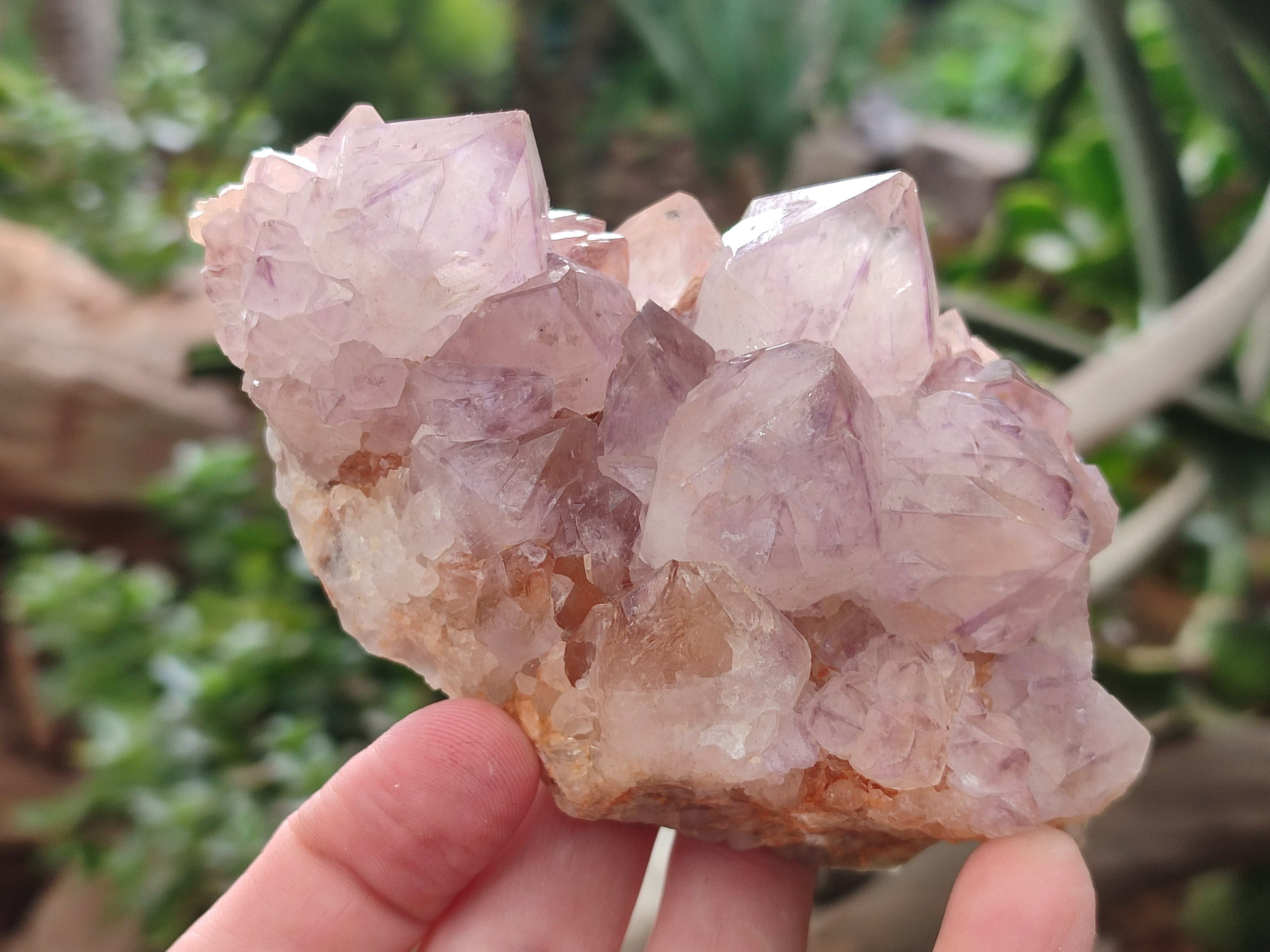 Natural Amethyst Spirit Quartz Clusters x 2 From Boekenhouthoek, South Africa - Toprock Gemstones and Minerals 