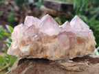 Natural Amethyst Spirit Quartz Clusters x 2 From Boekenhouthoek, South Africa - Toprock Gemstones and Minerals 