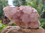 Natural Amethyst Spirit Quartz Clusters x 2 From Boekenhouthoek, South Africa - Toprock Gemstones and Minerals 