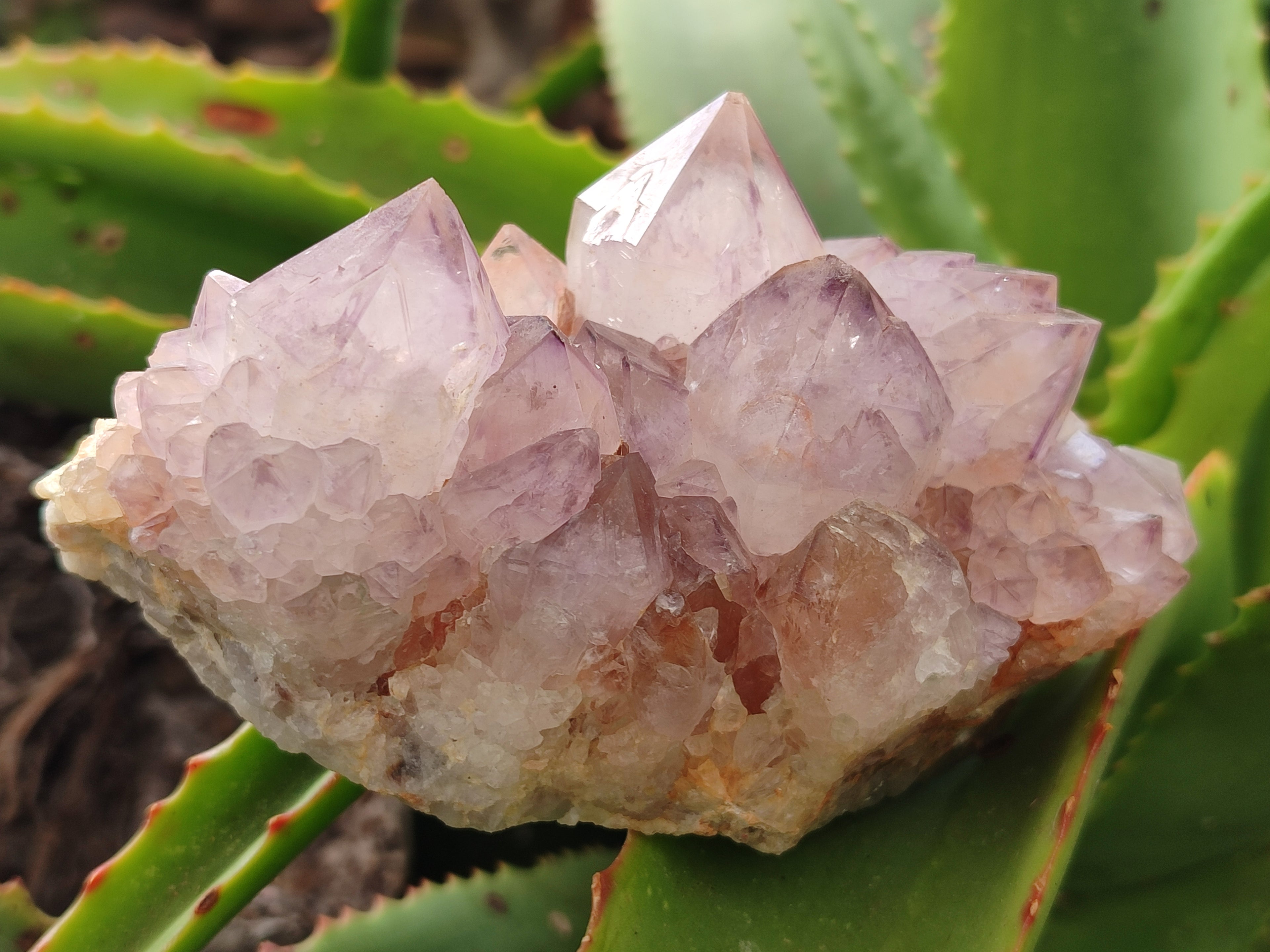 Natural Amethyst Spirit Quartz Clusters x 2 From Boekenhouthoek, South Africa - Toprock Gemstones and Minerals 