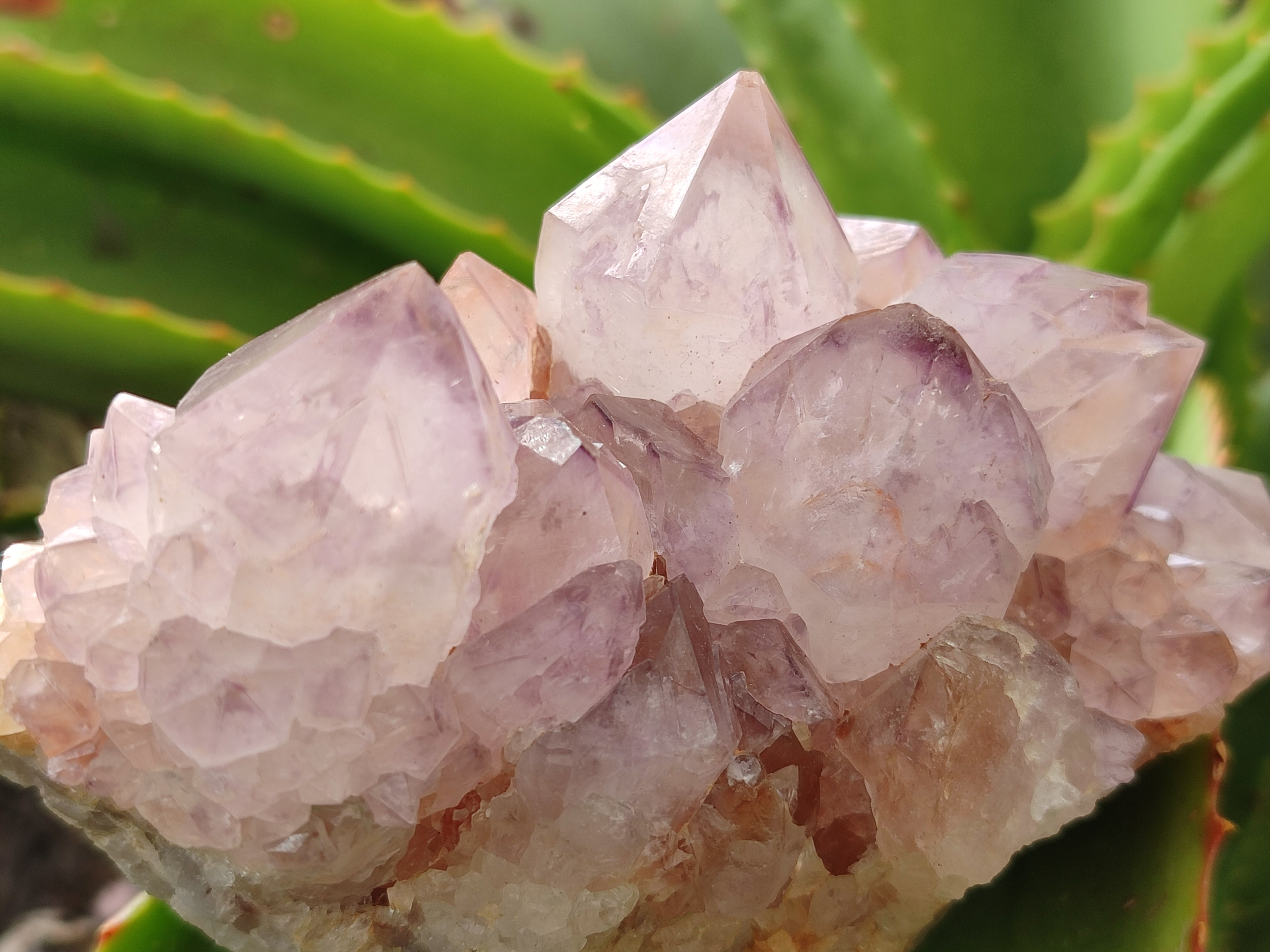 Natural Amethyst Spirit Quartz Clusters x 2 From Boekenhouthoek, South Africa - Toprock Gemstones and Minerals 