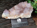 Natural Amethyst Spirit Quartz Clusters x 2 From Boekenhouthoek, South Africa - Toprock Gemstones and Minerals 