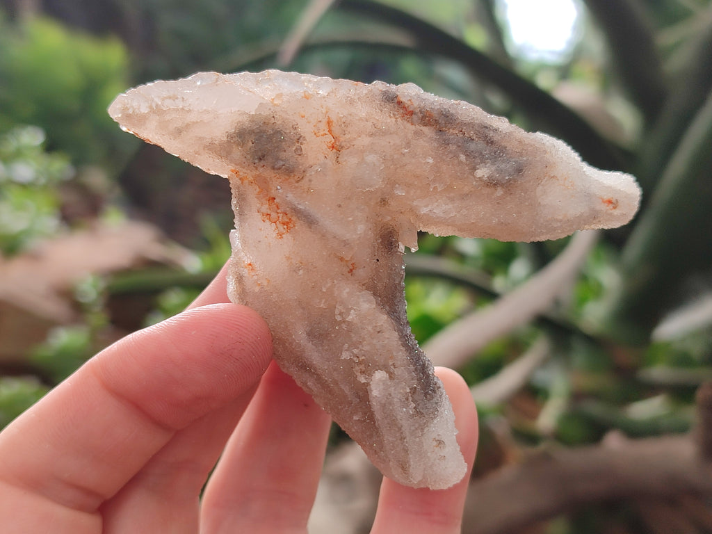 Natural Drusy Quartz Coated Calcite Pseudomorph Specimens x 12 From Alberts Mountain, Lesotho - Toprock Gemstones and Minerals 