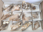 Natural Drusy Quartz Coated Calcite Pseudomorph Specimens x 12 From Alberts Mountain, Lesotho - Toprock Gemstones and Minerals 