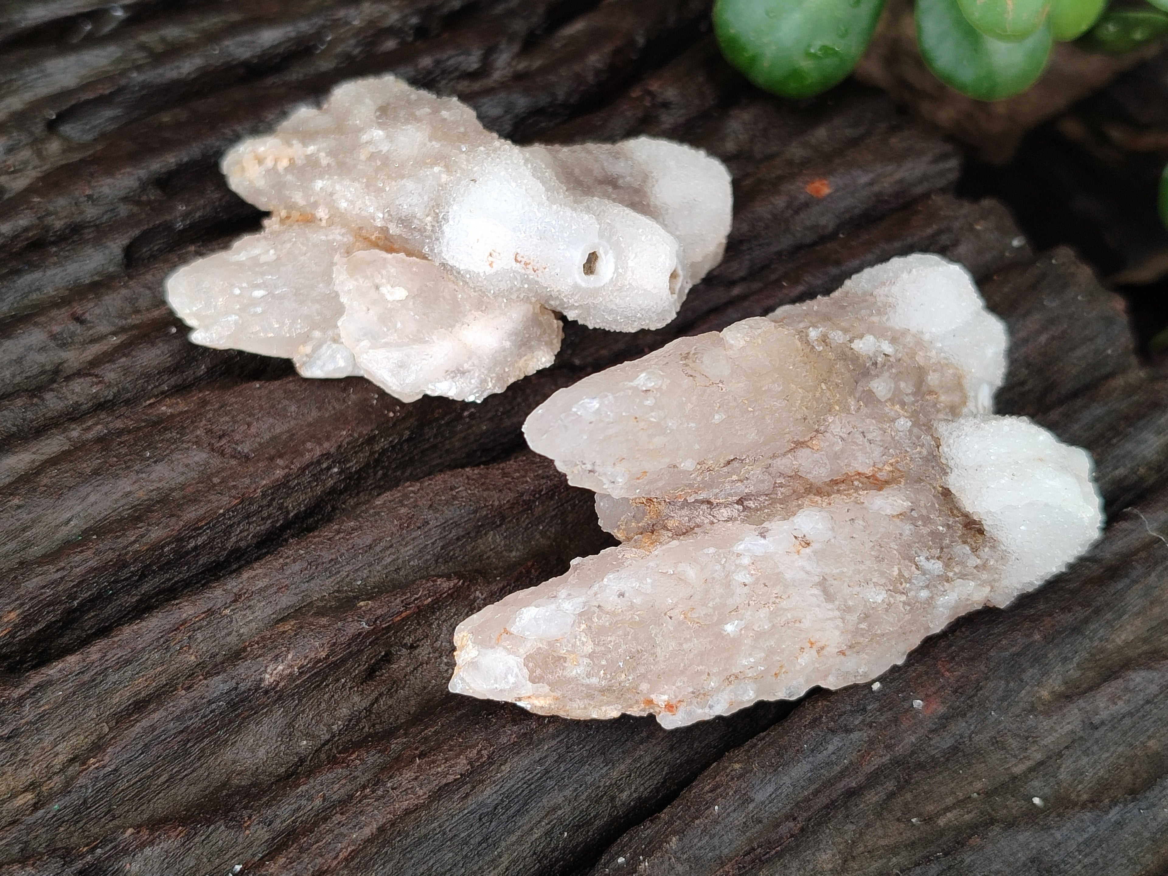 Natural Drusy Quartz Coated Calcite Pseudomorph Specimens x 12 From Alberts Mountain, Lesotho - Toprock Gemstones and Minerals 
