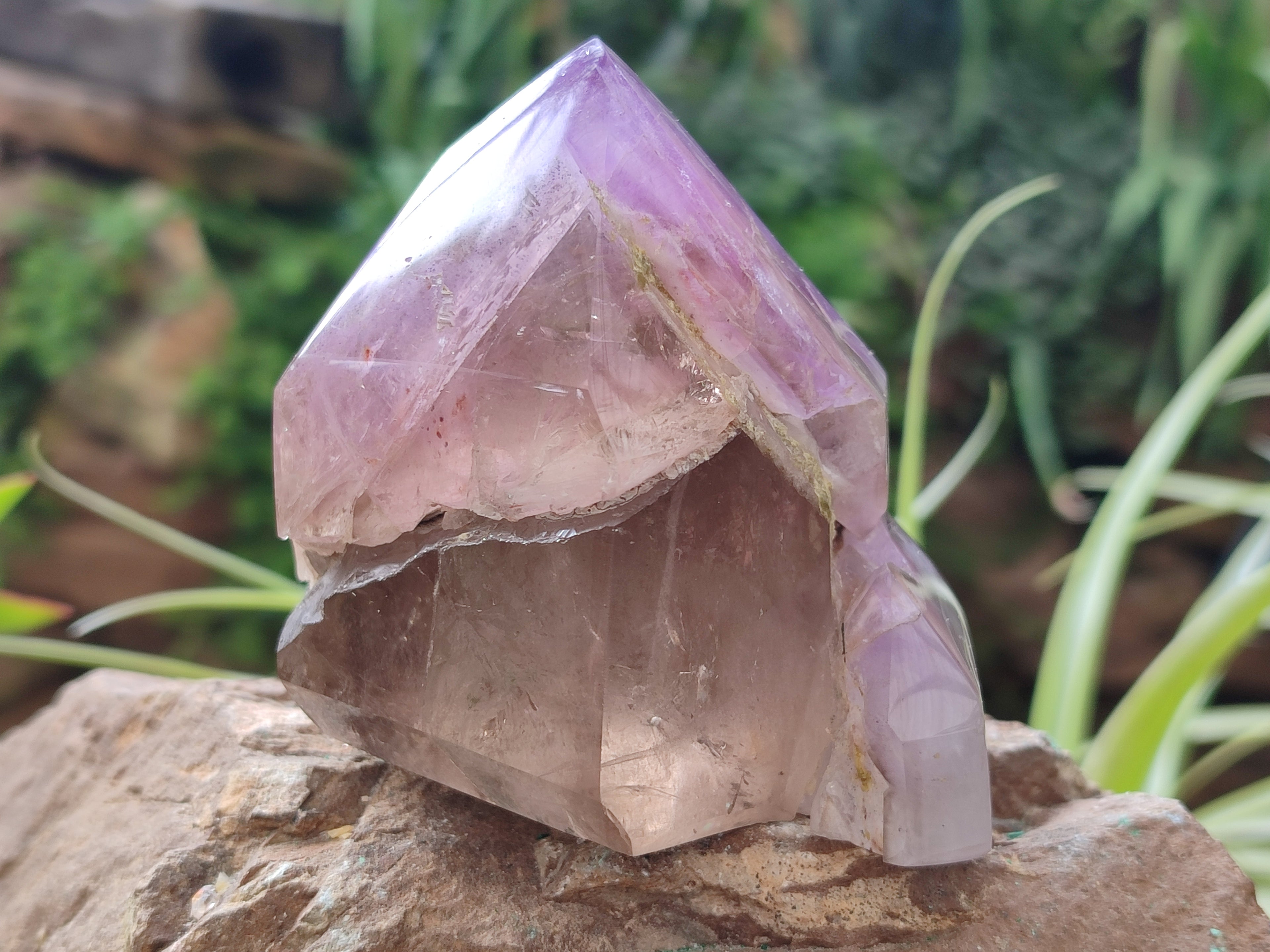 Polished Smokey Amethyst Window Quartz Crystals x 6 From Akansobe, Madagascar - Toprock Gemstones and Minerals 