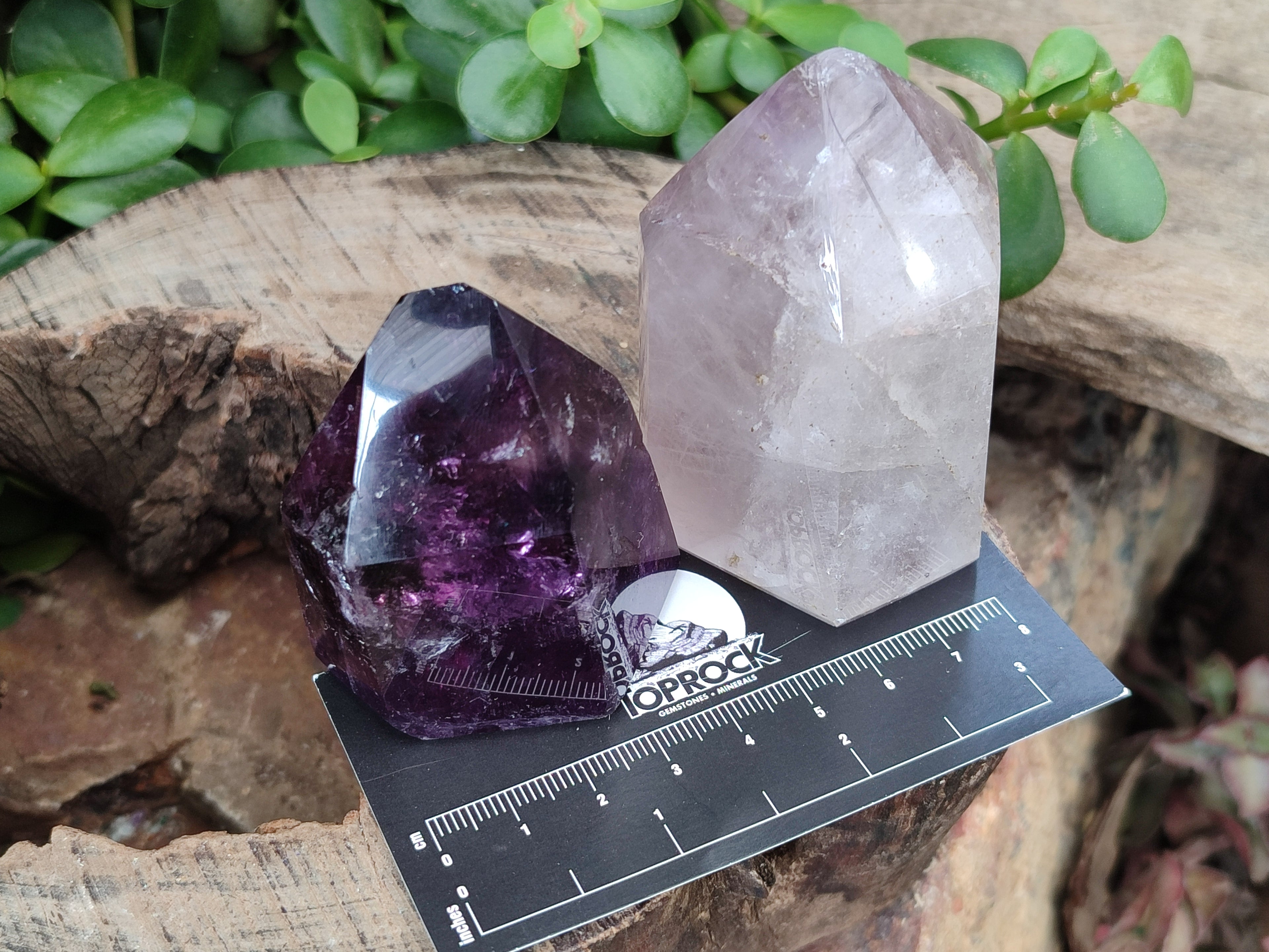 Polished Smokey Amethyst Window Quartz Crystals x 6 From Akansobe, Madagascar - Toprock Gemstones and Minerals 