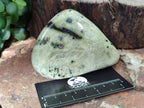 Polished Leopard Stone Free Forms x 4 From Nyanga, Zimbabwe - Toprock Gemstones and Minerals 